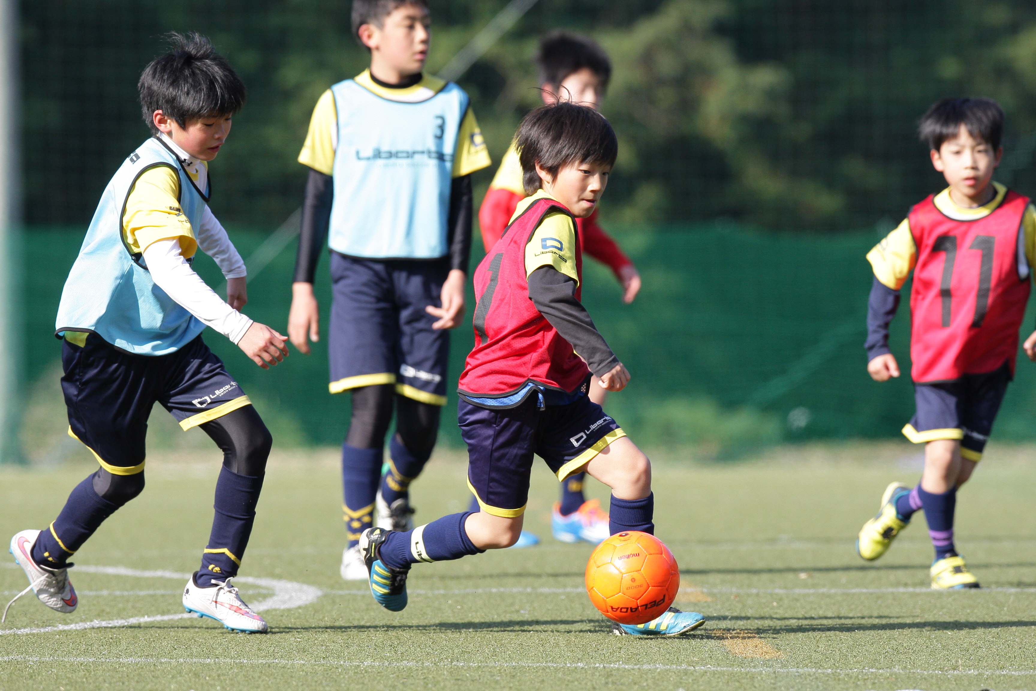 リベルタサッカースクール<br>【立川第二小学校】